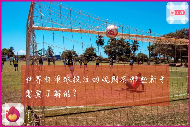 世界杯滚球投注的规则有哪些新手需要了解的？