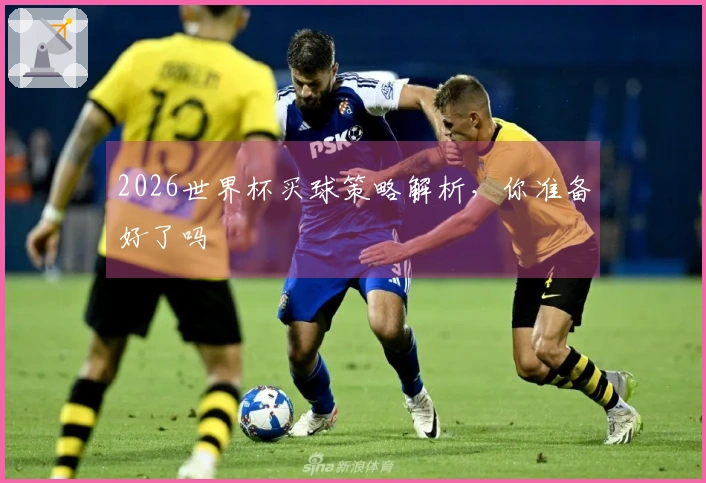 2026世界杯买球策略解析，你准备好了吗