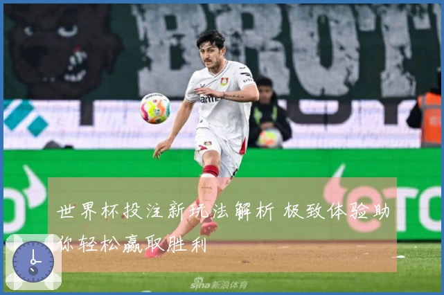 世界杯投注新玩法解析 极致体验助你轻松赢取胜利