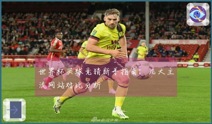世界杯买球竞猜新手指南：几大主流网站对比分析