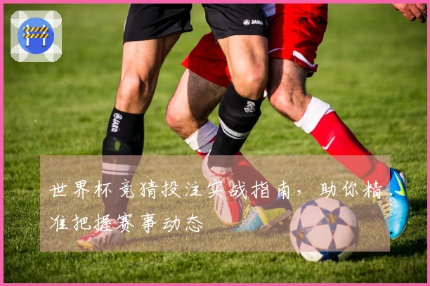 世界杯竞猜投注实战指南，助你精准把握赛事动态