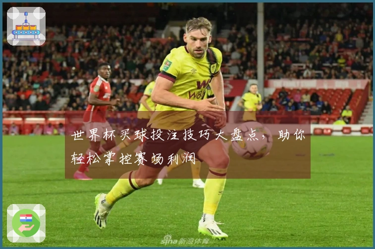 世界杯买球投注技巧大盘点，助你轻松掌控赛场利润
