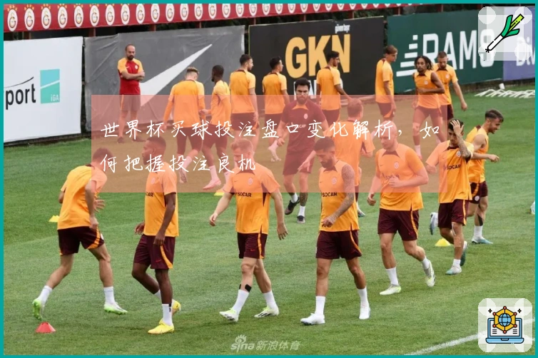 世界杯买球投注盘口变化解析，如何把握投注良机