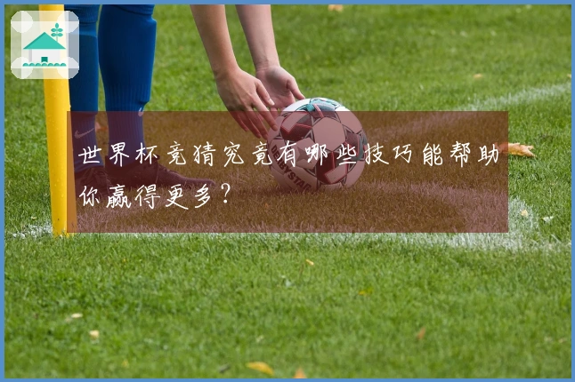 世界杯竞猜究竟有哪些技巧能帮助你赢得更多？