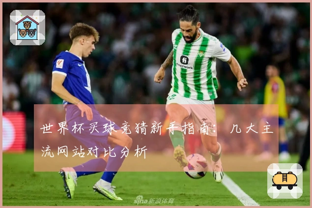 世界杯买球竞猜新手指南：几大主流网站对比分析