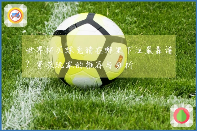 世界杯买球竞猜在哪里下注最靠谱？资深玩家的推荐与分析