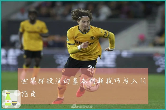 世界杯投注的基本判断技巧与入门指南