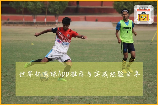 世界杯买球App推荐与实战经验分享