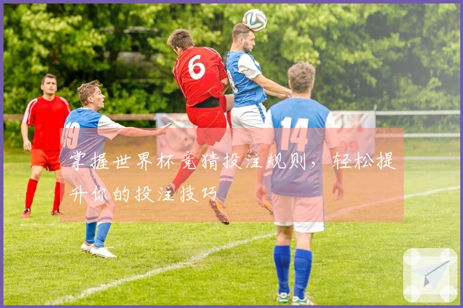 掌握世界杯竞猜投注规则，轻松提升你的投注技巧