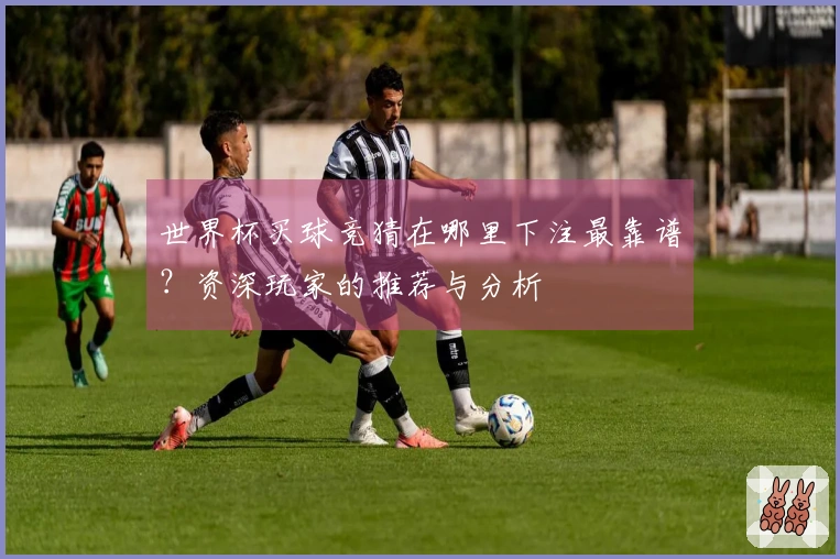 世界杯买球竞猜在哪里下注最靠谱？资深玩家的推荐与分析
