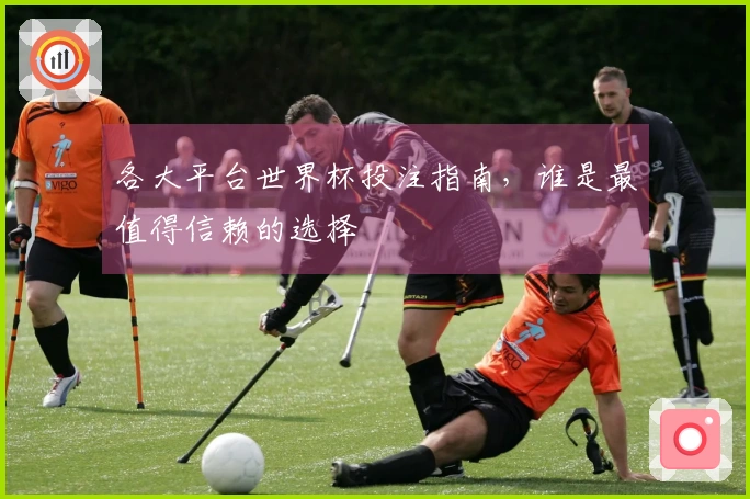 各大平台世界杯投注指南，谁是最值得信赖的选择